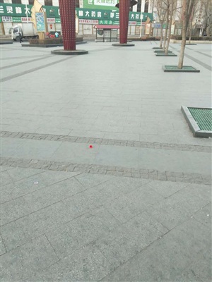 測量場地