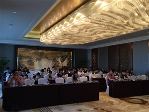 南寧萬(wàn)達(dá)文華酒店學(xué)術(shù)會(huì)議搭建