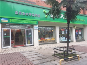 11.18號長沙路演活動益豐大藥房林學院店路演活動現場